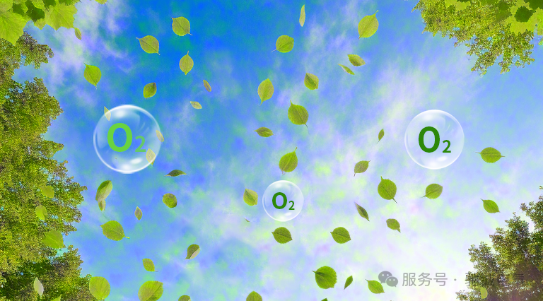 認(rèn)識(shí)氣體的危害|氧氣濃度監(jiān)測(cè)與預(yù)防