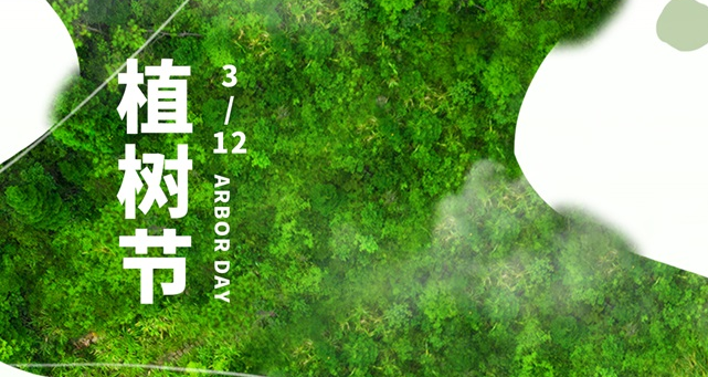 植樹節，種下一抹綠，收獲新希望